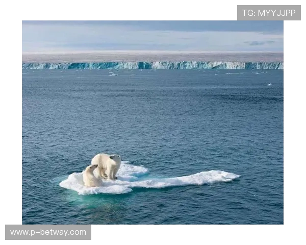以北极化石遗址为核心的1600米探索之旅：揭秘冰雪时代的生态变迁